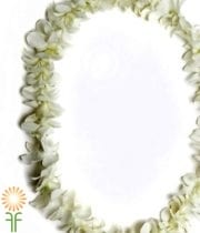 White Dendrobium Orchid Lei, Double