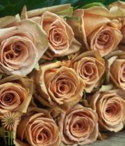 Beige/Brown Toffee Roses