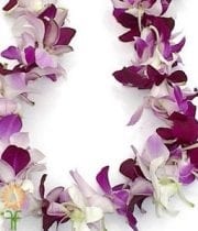 White And Purple Dendrobium Orchid Lei, Single