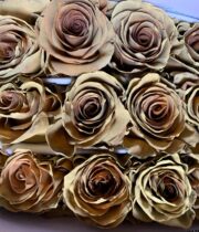 Brown Tinted Macchiato Roses