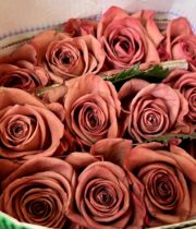 Mauve Barista Roses