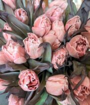 Brown Tinted Double Tulips