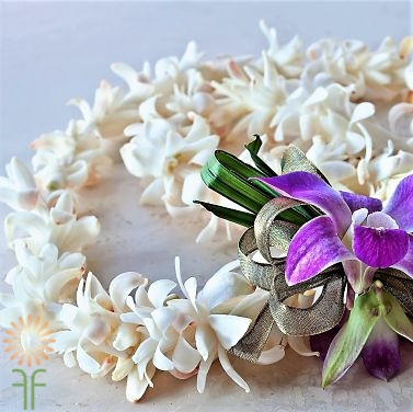 wholesale flowers | orchid- single lei white