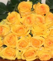 Yellow Deja Vu Roses