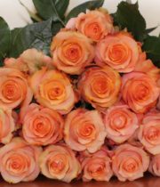 Orange Twilight Roses