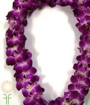 White And Purple Dendrobium Orchid Lei, Double